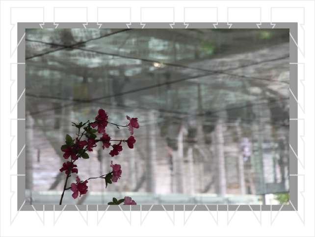 Reflections in Downtown Tokyo