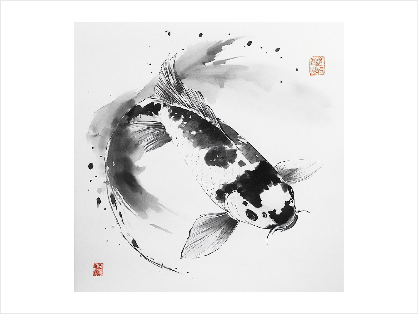 Koi 12