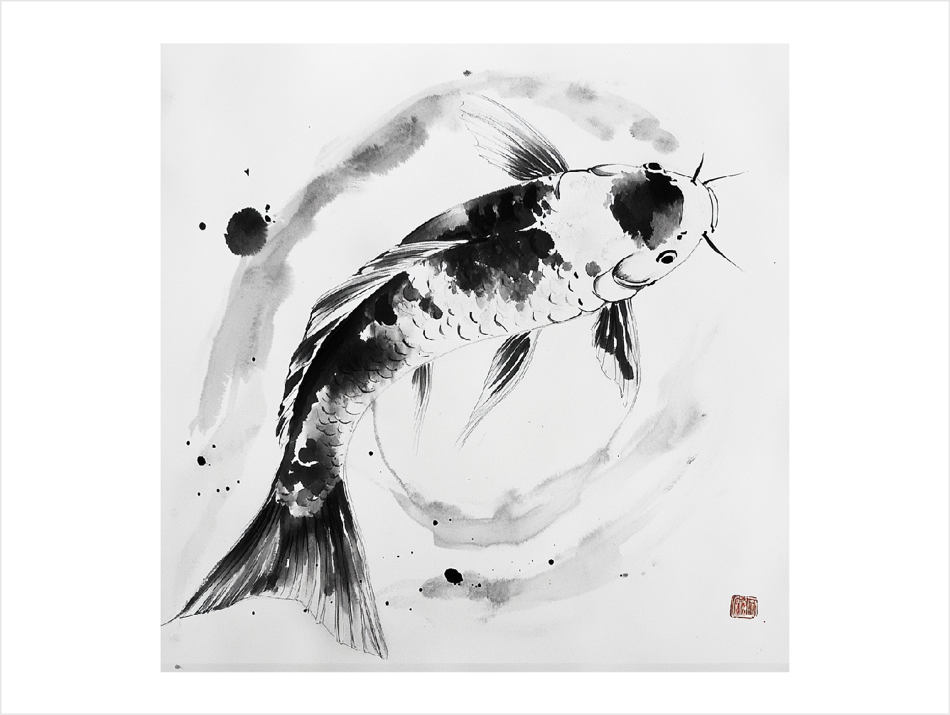 Koi 2
