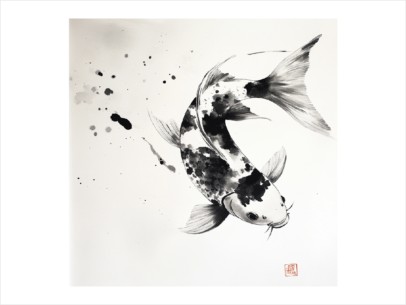 Koi 3