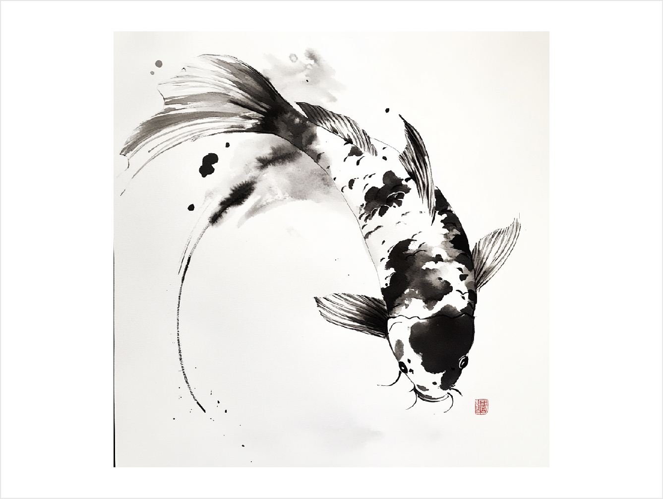 Koi 6
