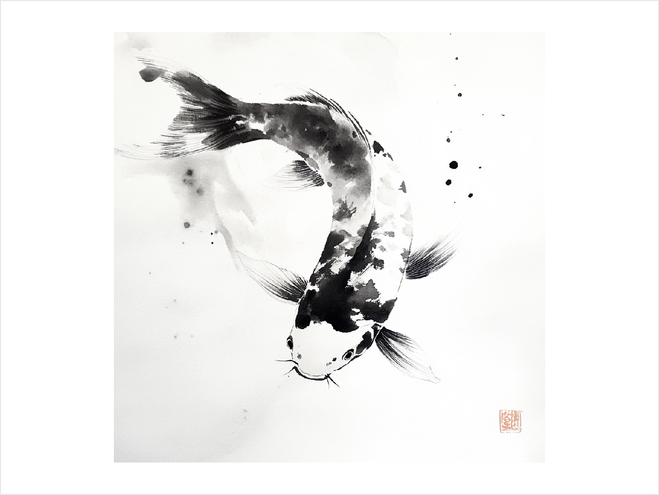 Koi 8