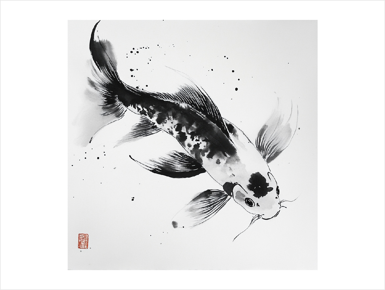 Koi 9